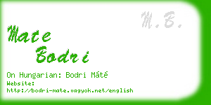 mate bodri business card