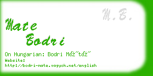 mate bodri business card